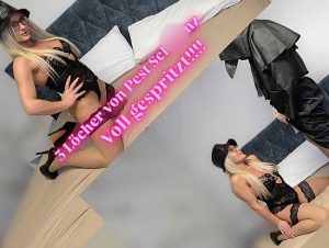 Studentin Aneta Porno Video: 3 lö**er von Pest schw**z gefi**t und Voll Gespri**t.... Grrrr